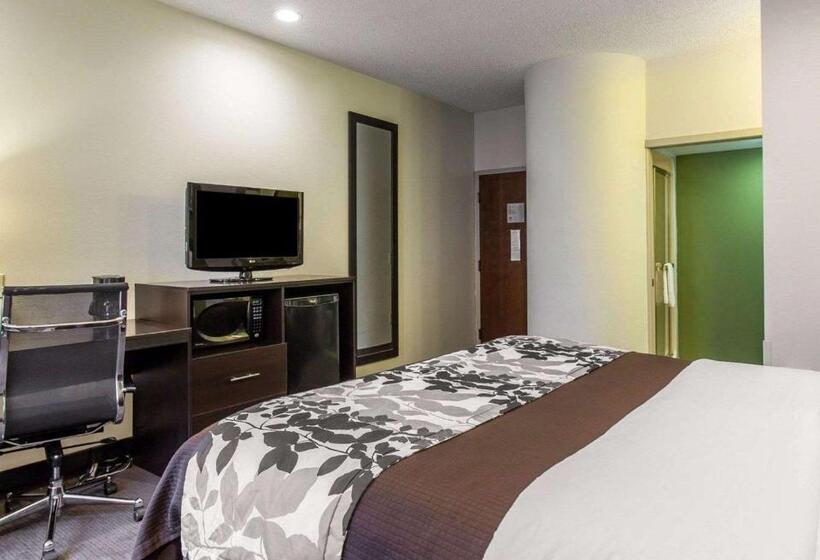 带大床的标准间, Sleep Inn Columbia