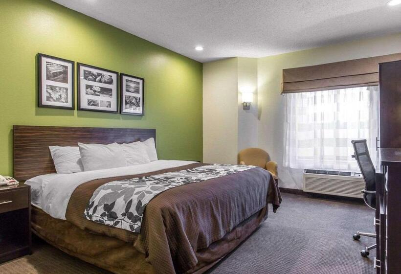 带大床的标准间, Sleep Inn Columbia