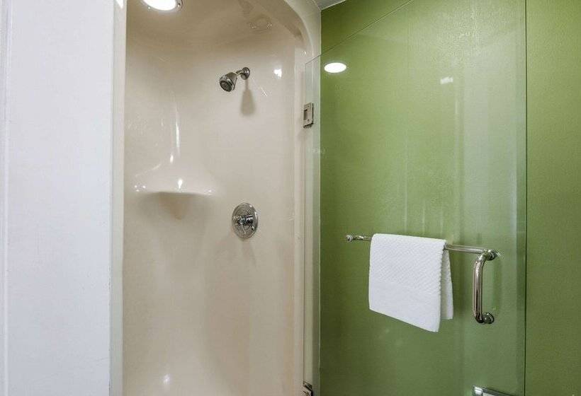带2个双人床的标准工作室, Sleep Inn Hanes Mall