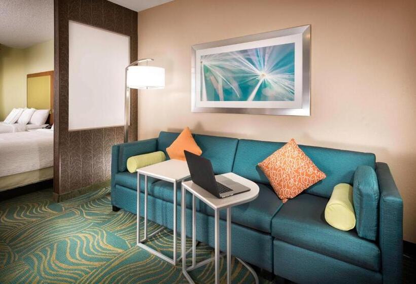 Люкс Кровать Кинг, Springhill Suites By Marriott Bentonville