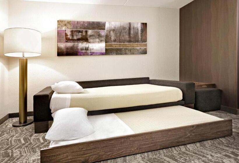 장애인을 위한 스위트, Springhill Suites Phoenix Glendale/peoria
