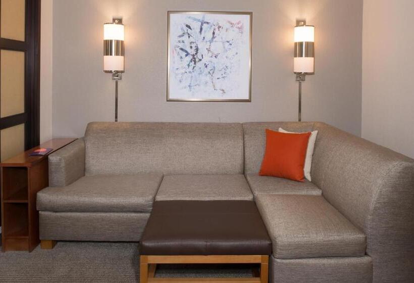 Стандартный Номер Кровать Кинг, Hyatt Place Dallas/north Arlington/grand Prairie