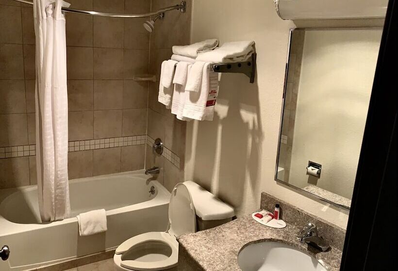 带2个双人床的标准工作室, Super 8 By Wyndham Stamford/new York City Area