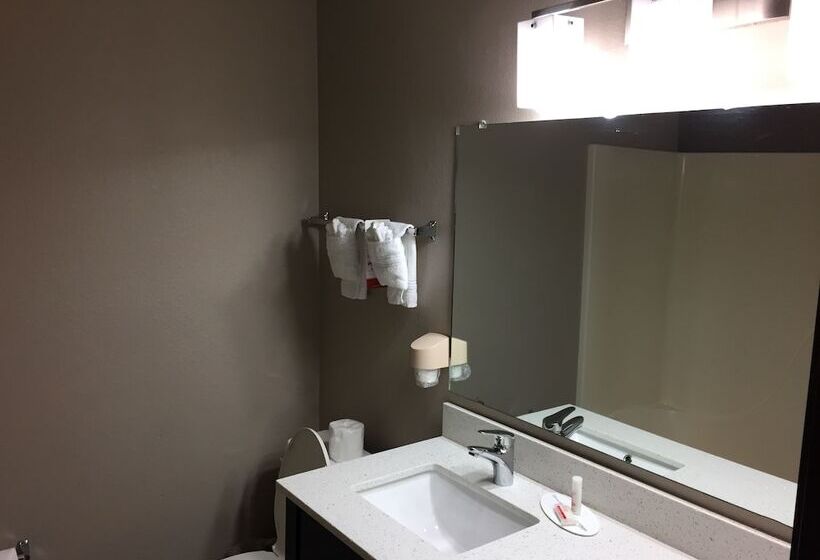 Номер Стандарт 2 Двуспальные Кровати, Super 8 By Wyndham Bedford Dfw Airport West
