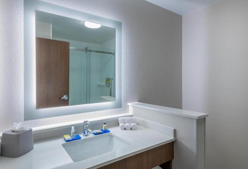 Номер Стандарт Адаптированный для Инвалидов, Holiday Inn Express & Suites   Colorado Springs South I 25, An Ihg