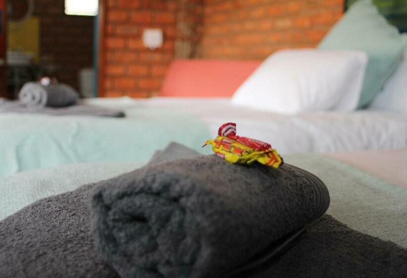 اتاق استاندارد, Otavi Vineyards Self Catering & Camping