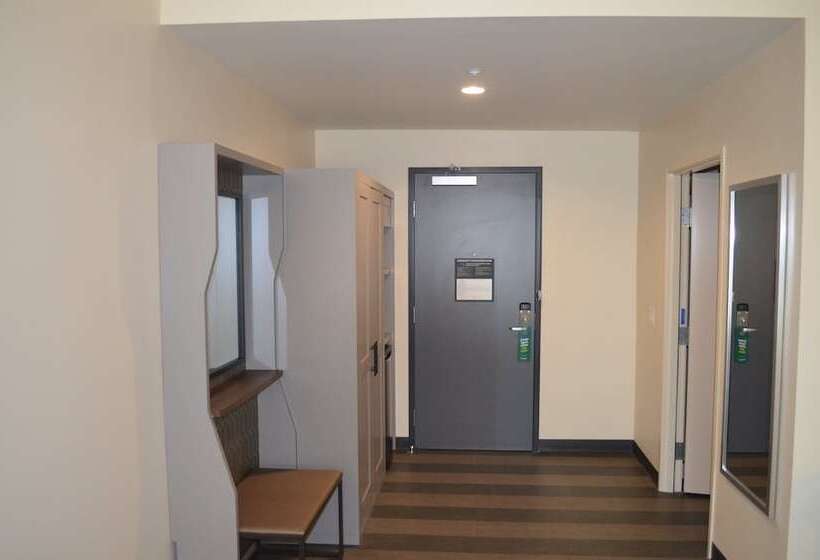 适合残疾人使用的标准间, Holiday Inn   Nw Houston Beltway 8, An Ihg