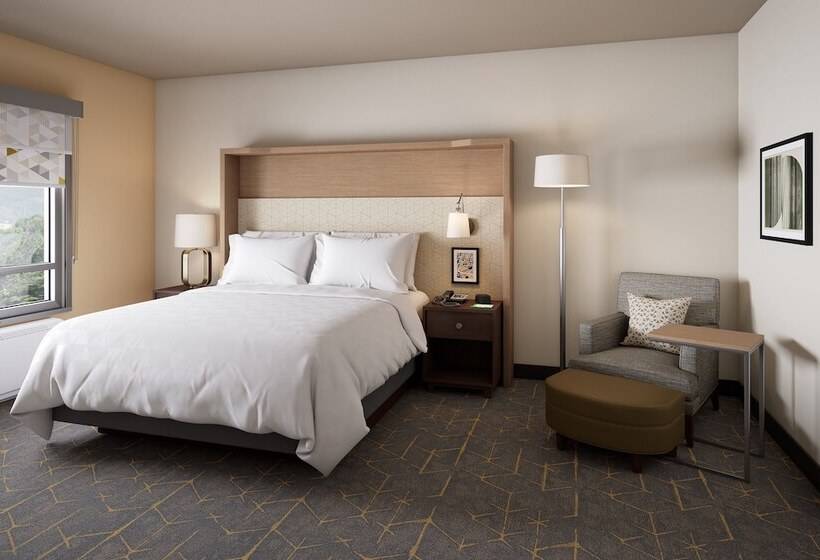 适合残疾人士使用的套间, Holiday Inn   Nw Houston Beltway 8, An Ihg