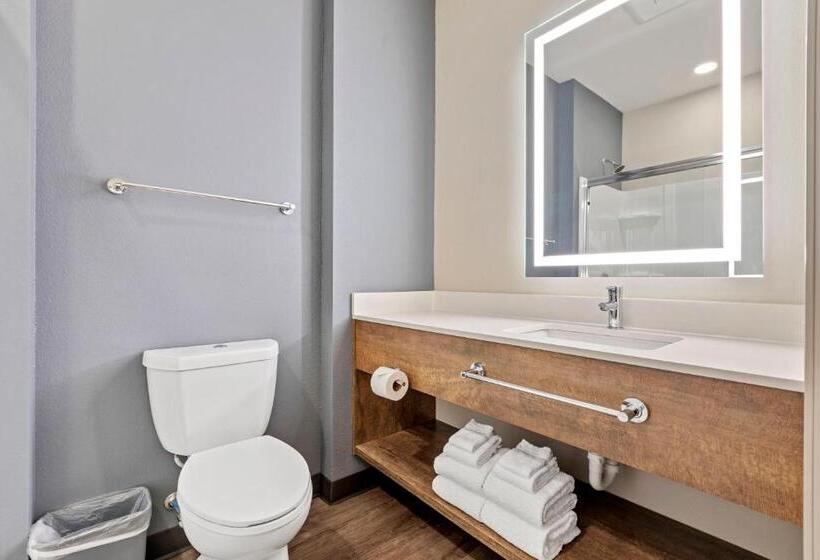 스탠다드 스튜디오, Extended Stay America Premier Suites  Tampa  Gibsonton  Riverview