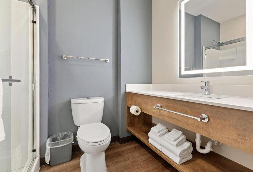 디럭스 스튜디오, Extended Stay America Premier Suites  Tampa  Gibsonton  Riverview