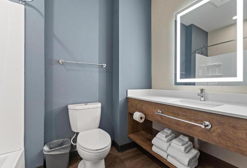 스탠다드 스튜디오, Extended Stay America Premier Suites  Tampa  Gibsonton  Riverview