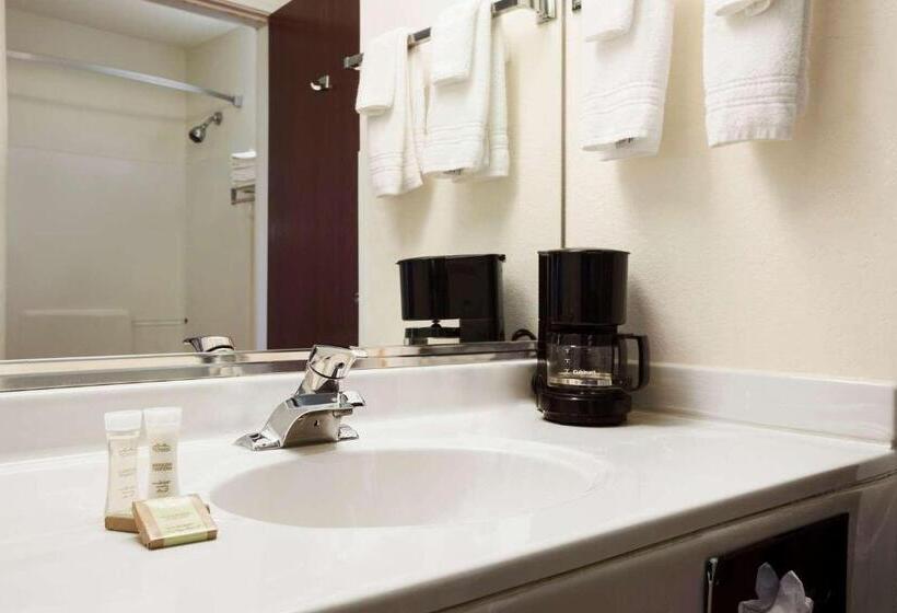 סטודיו סטנדרט, מיטה זוגית, Super 8 By Wyndham Aurora/naperville Area