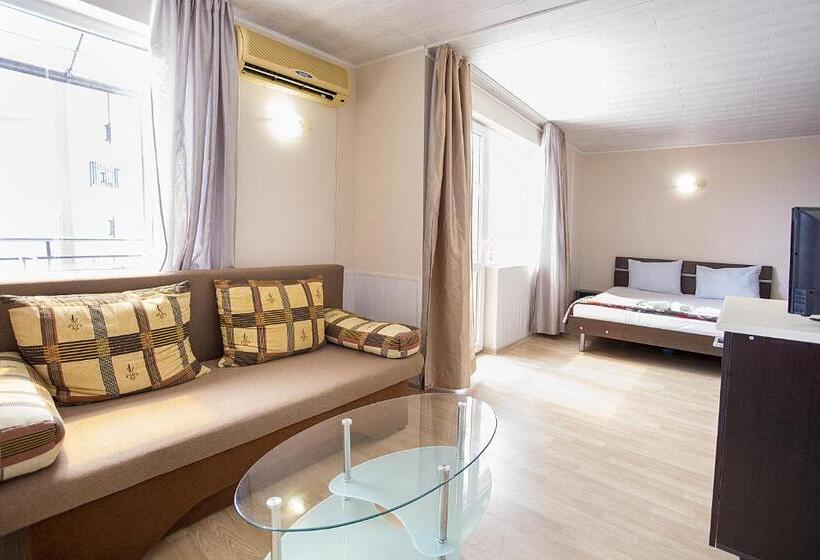 Студио Стандарт Кровать Кинг, Sineva Guest House
