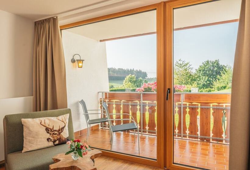 Апартаменты 1 Спальня с Видом, Landgasthaus Sonne