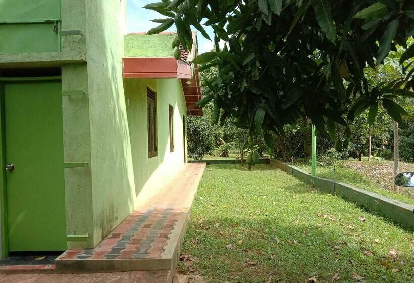 经济房, Nebula Farm House