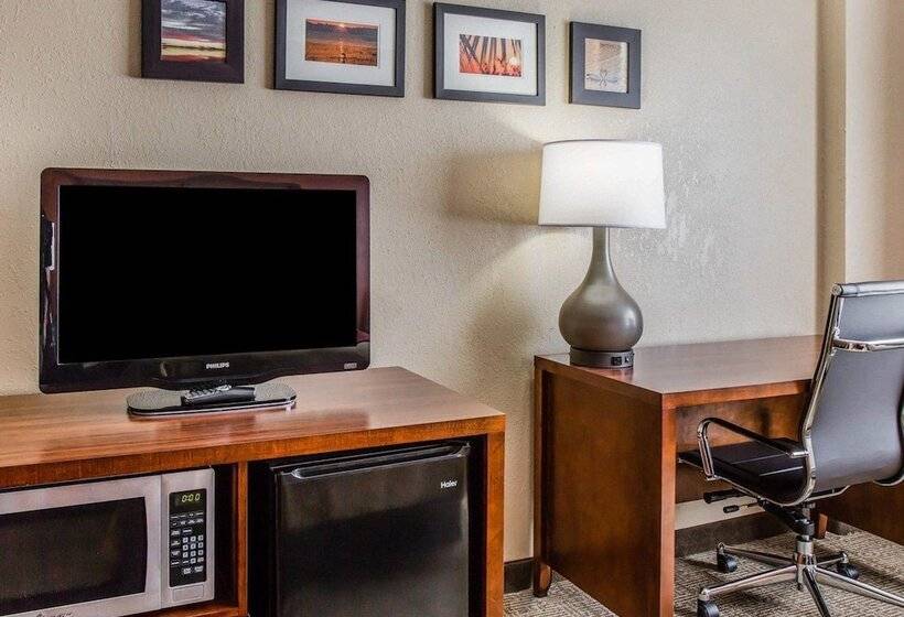 Номер Стандарт 2 Двуспальные Кровати, Comfort Inn & Suites Lakeland North I4