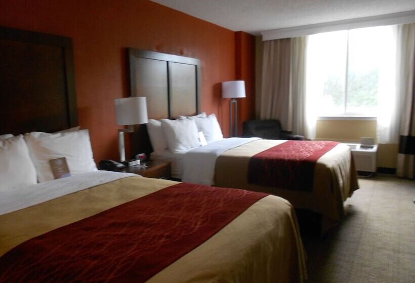 Номер Стандарт 2 Двуспальные Кровати, Comfort Inn & Suites Lakeland North I4