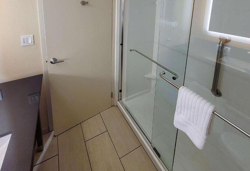 Quarto Estandar para Deficientes Físicos, Comfort Suites Alpharetta Roswell   Atlanta Area