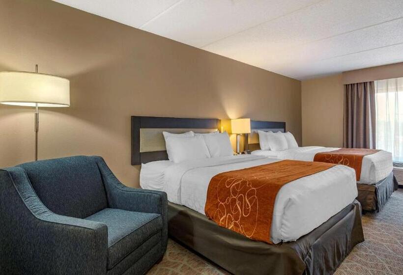 Quarto Estandar para Deficientes Físicos, Comfort Suites Alpharetta Roswell   Atlanta Area