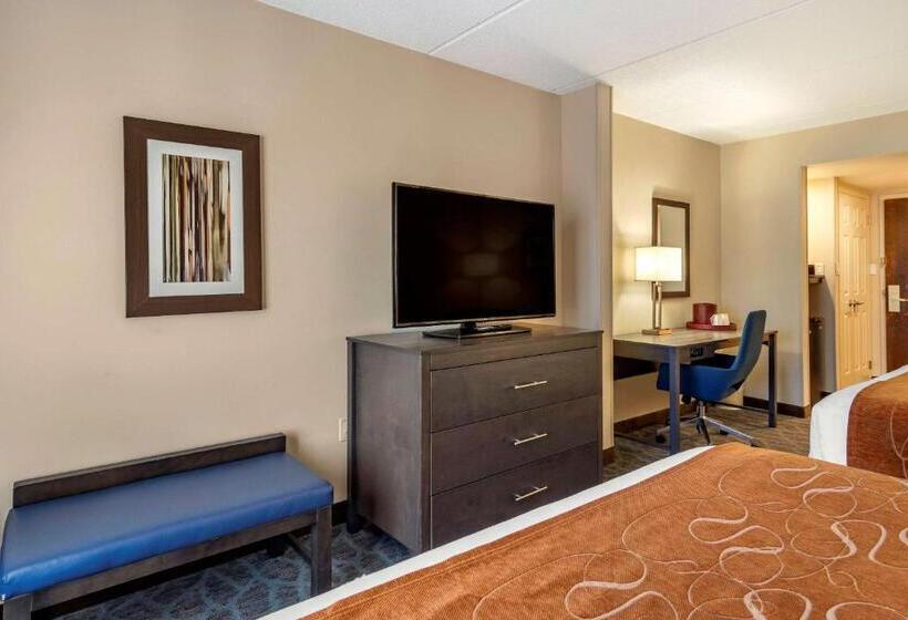 Quarto Estandar, Comfort Suites Alpharetta Roswell   Atlanta Area