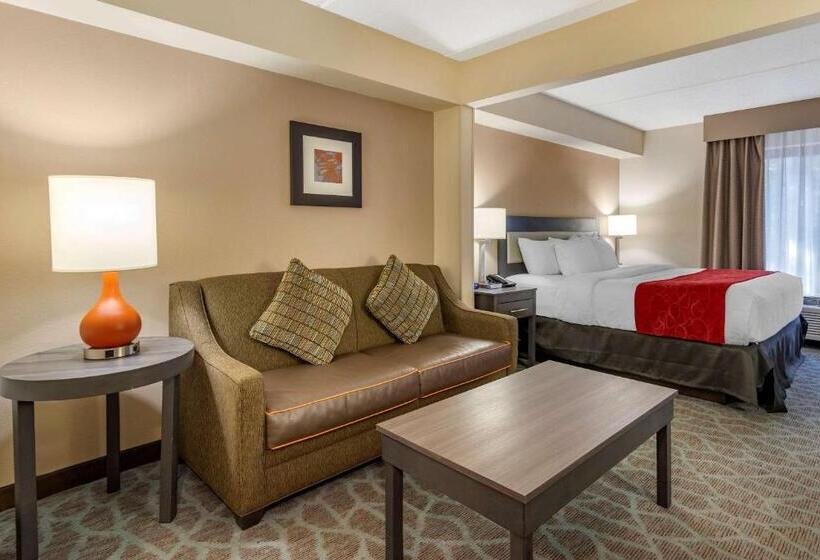 Quarto Estandar Cama King para Deficientes Físicos, Comfort Suites Alpharetta Roswell   Atlanta Area
