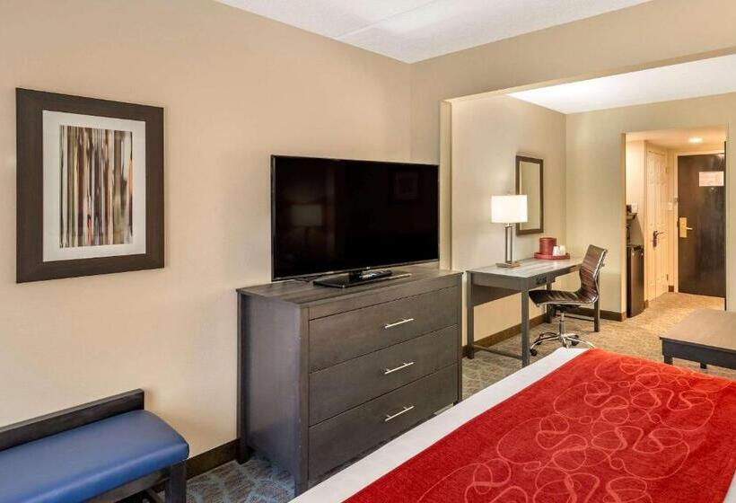 Quarto Estandar Cama King, Comfort Suites Alpharetta Roswell   Atlanta Area