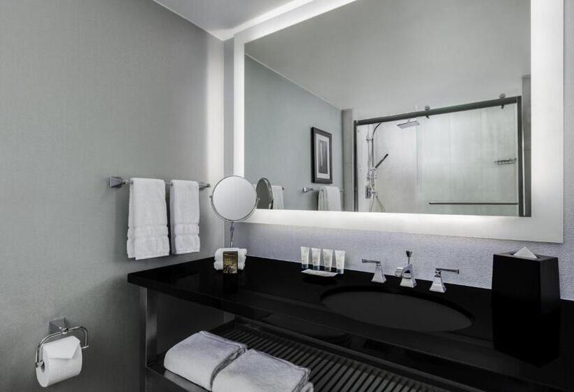 장애인을 위한 킹사이즈 침대 스탠다드 룸, The Westin Washington, D.c. City Center
