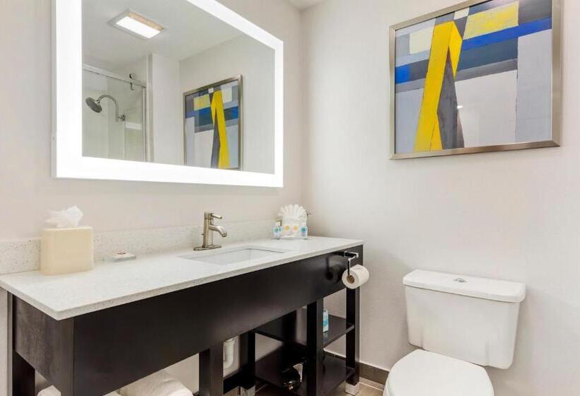 Четырехместный Номер Стандарт, Comfort Inn & Suites Irving Las Colinas Dfw