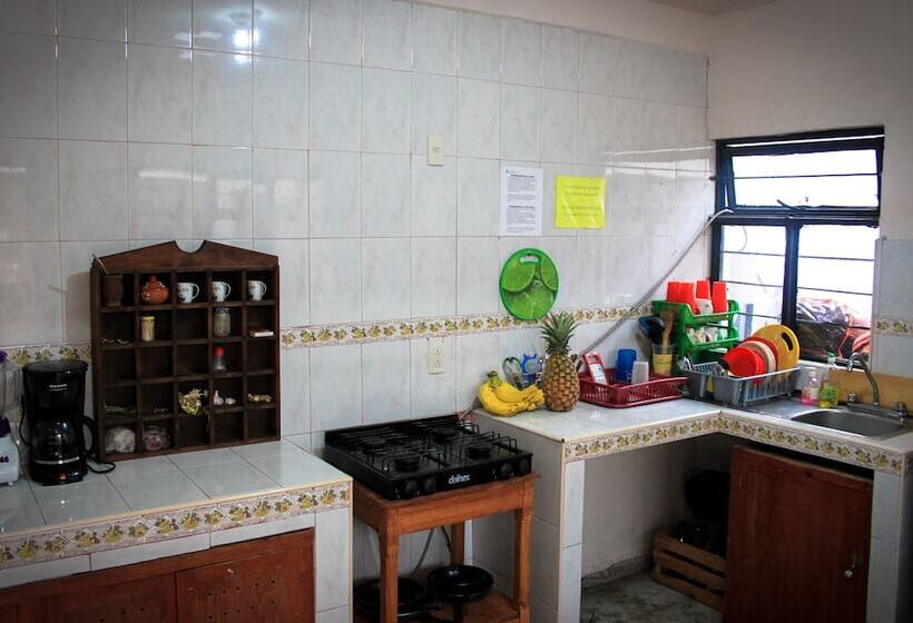 מיטה בחדר משותף, Hostal Mirador   Hostel