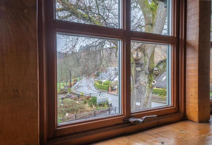 Номер Superior, Oak Tree Inn