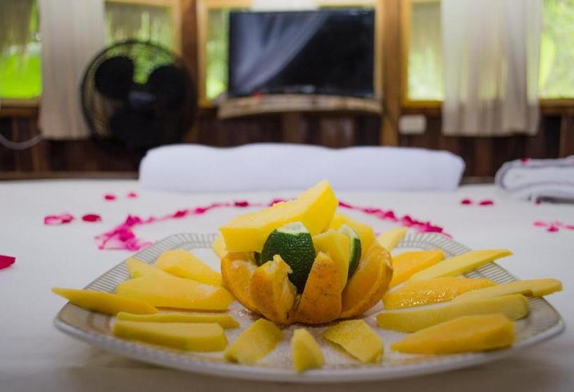 스탠다드 방갈로, Tayrona Paradise