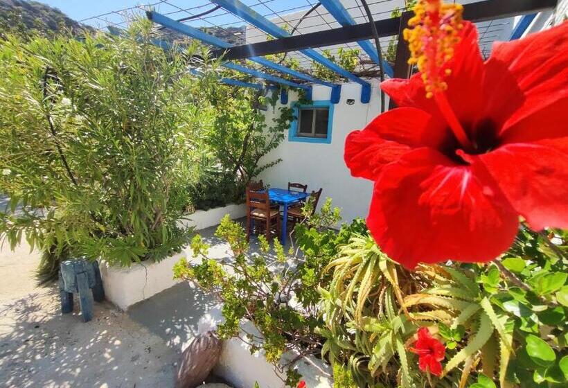 اتاق کلاسیک چهارنفره, Oleander S Garden Traditional Cretan Cottage