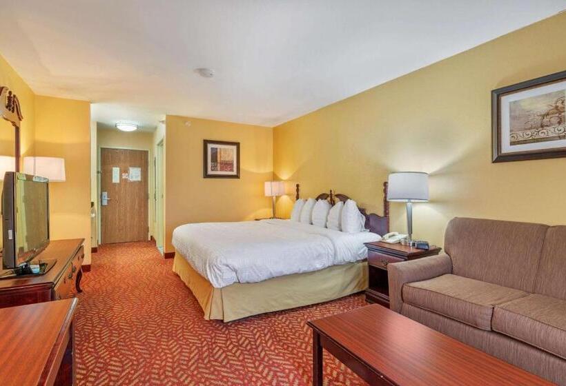 스탠다드 룸 킹사이즈 침대, Best Western Clearlake Plaza