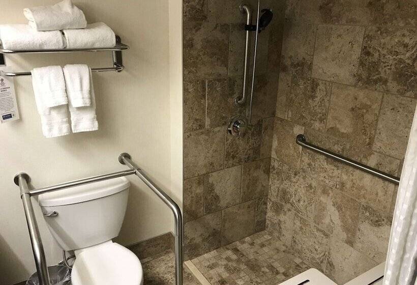 Номер Стандарт 2 Двуспальные Кровати, Best Western Plus Inntowner Madison