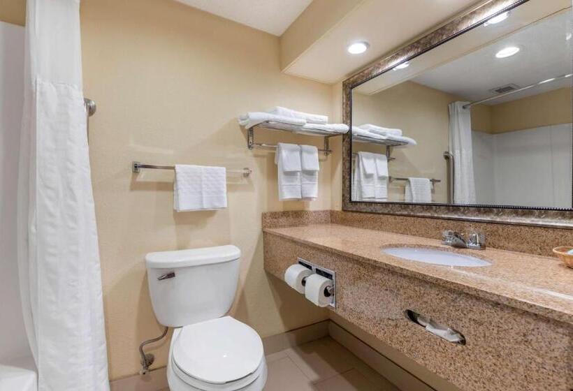 Стандартный Номер Кровать Кинг, Best Western Seneca Clemson