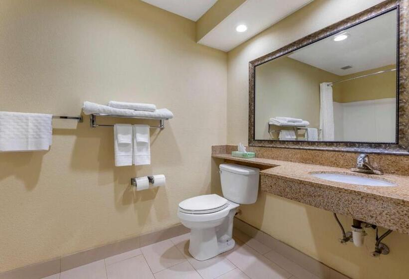 Люкс Кровать Кинг, Best Western Seneca Clemson