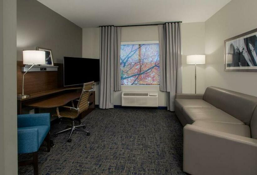 Люкс Кровать Кинг, Fairfield Inn & Suites Houston Katy