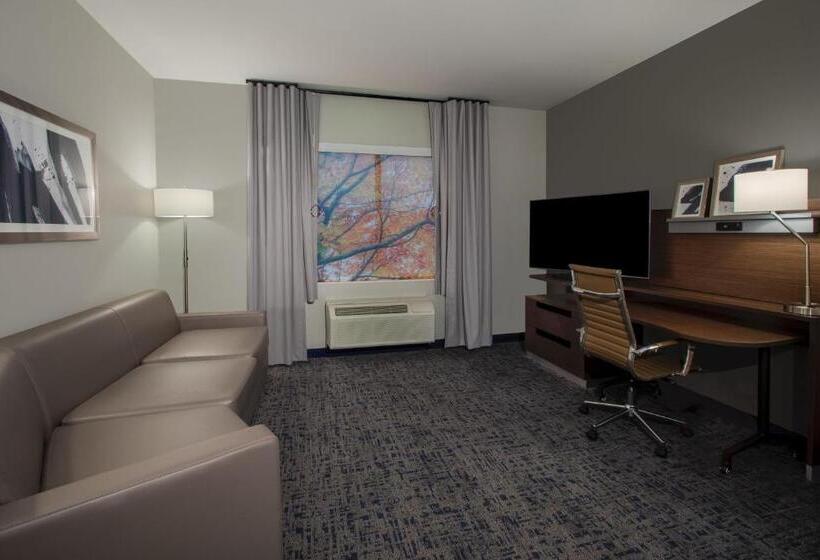 Люкс, Fairfield Inn & Suites Houston Katy