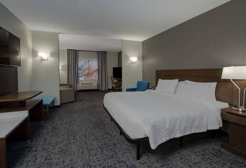 Люкс, Fairfield Inn & Suites Houston Katy