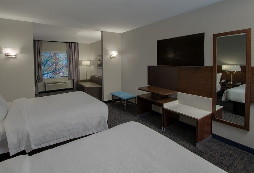 Люкс, Fairfield Inn & Suites Houston Katy