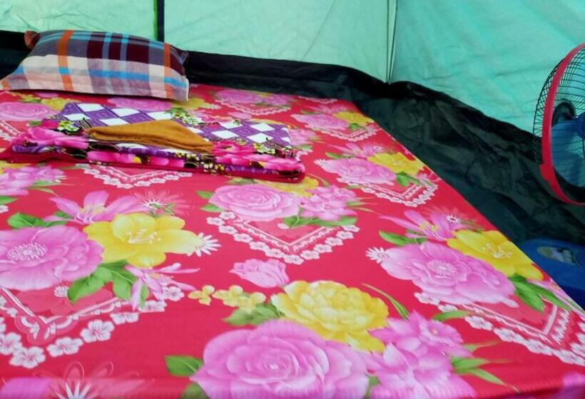 چادر با خدمات رفاهی استاندارد, Plankton Bungalow And Camping
