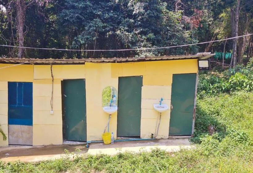 اتاق استاندارد با سرویس بهداشتی مشترک, Plankton Bungalow And Camping