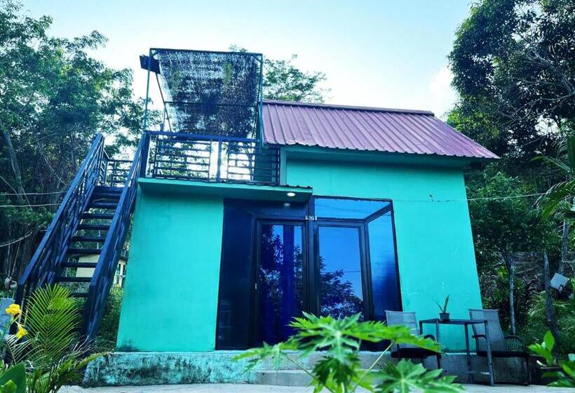 اتاق استاندارد, Plankton Bungalow And Camping