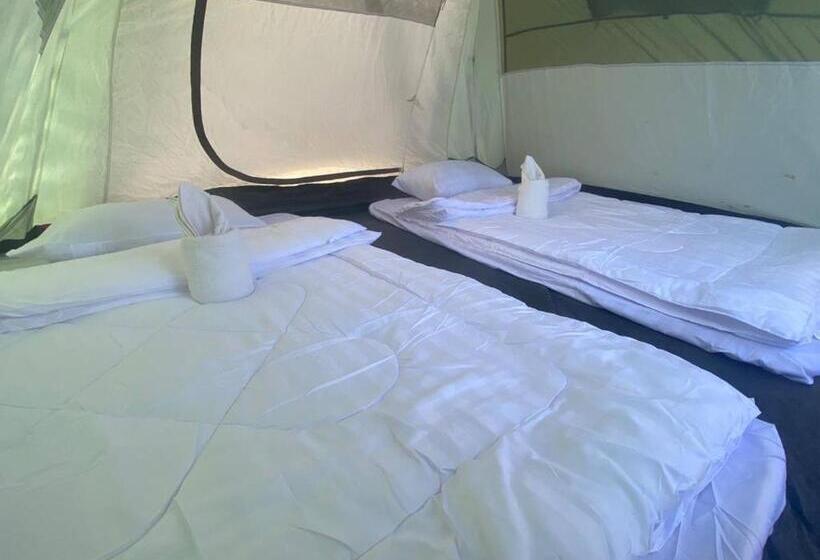 چادر با خدمات رفاهی استاندارد, Plankton Bungalow And Camping