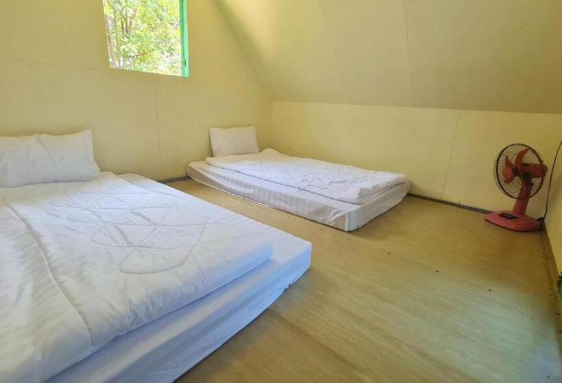 اتاق خانوادگی با چشم‌انداز باغ, Plankton Bungalow And Camping