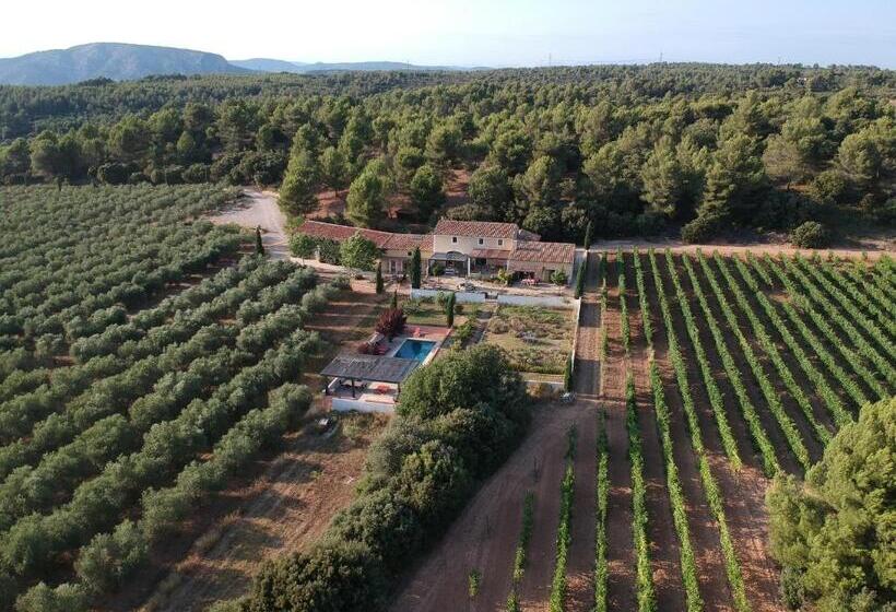 Шале 1 Спальня, Domaine De Villemus