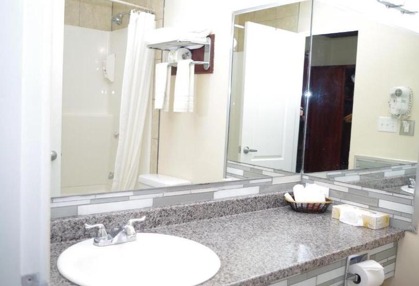 Люкс Кровать Кинг, Causeway Bay Hotel Sparwood