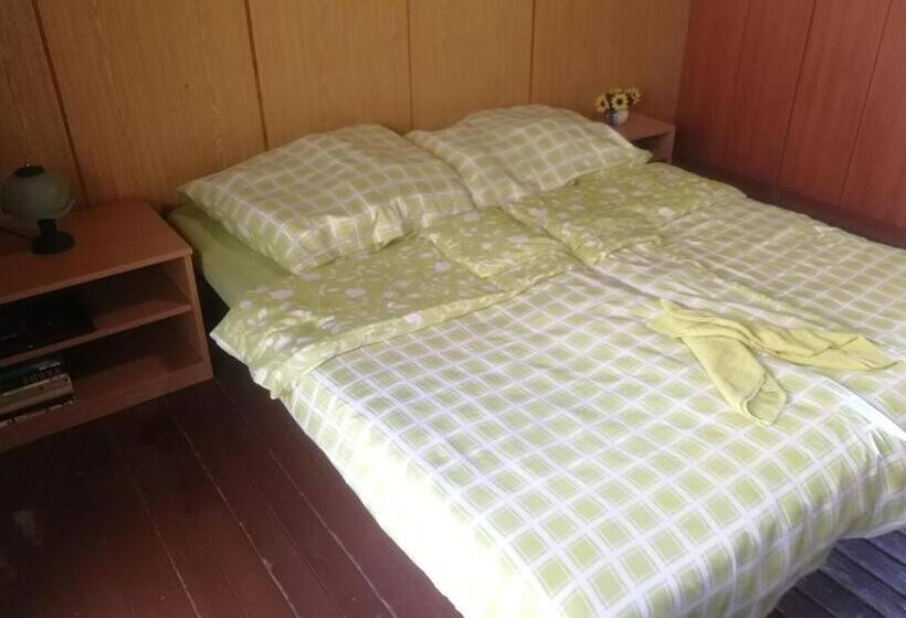 스탠다드 룸 산 전망, Chata Pod Vlekom