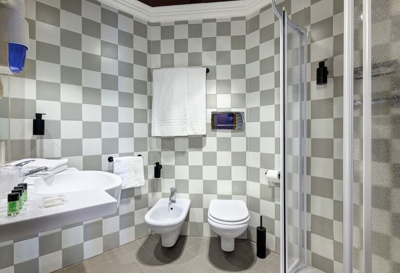 اتاق استاندارد یک نفره, Roma Tor Vergata