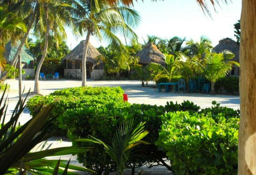 スタンダードバンガロー, Costa De Cocos